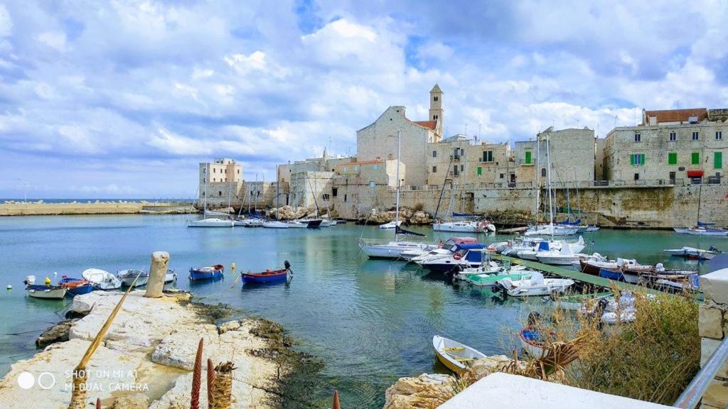 Casa Cicetta Daire Giovinazzo Dış mekan fotoğraf