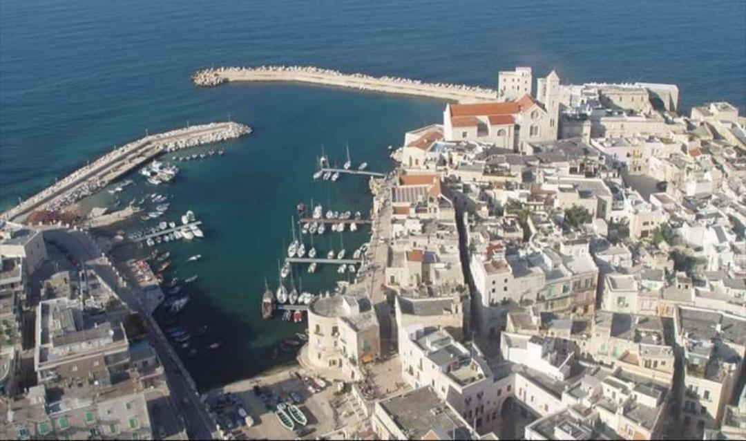 Casa Cicetta Daire Giovinazzo Dış mekan fotoğraf